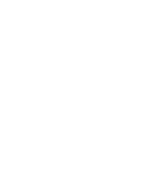 Camodi logo